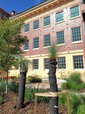 A native plant garden in front of a brick building